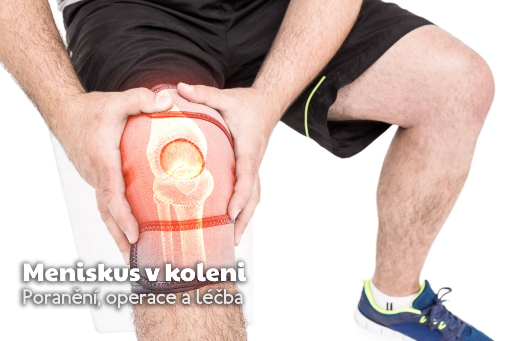 Meniskus v koleni